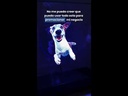 youtube - [Video]
