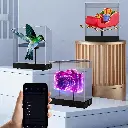 HOLOGRAFICO SOBREMESA CUADRADO_5.webp